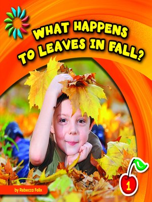 cover image of What Happens to Leaves in Fall?